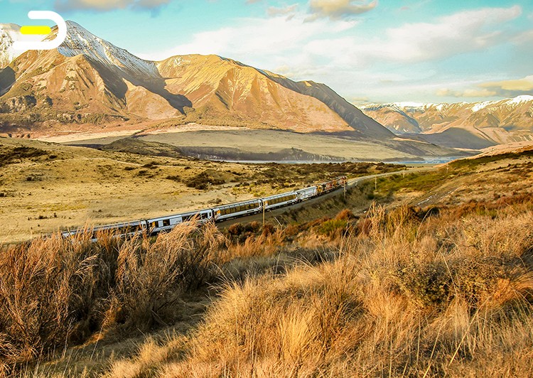 TranzAlpine - Christchurch-Arthurs Pass-Christchurch 高山观景火车(TranzAlpine)基督城--亚瑟通道当天往返